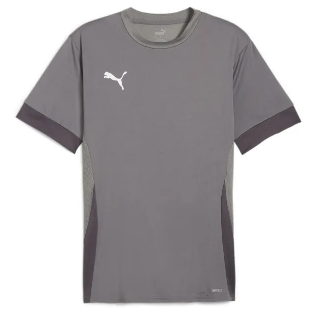 Puma teamGOAL 24 SS Shirt