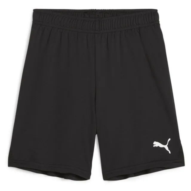 Puma Junior teamGOAL 24 Shorts