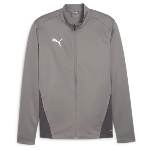 Puma teamGOAL 24 Training Jacket