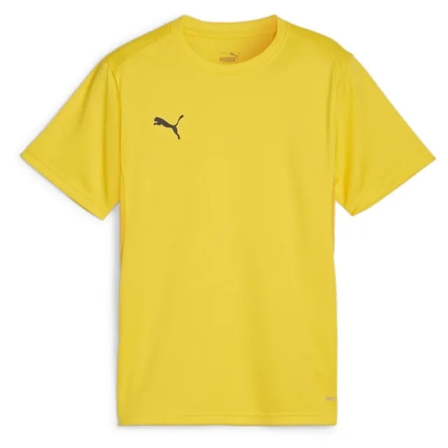 Puma Training T-Shirt Teamgoal - ['Yellow']