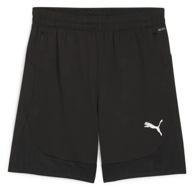 Puma teamFINAL 24 Training Shorts