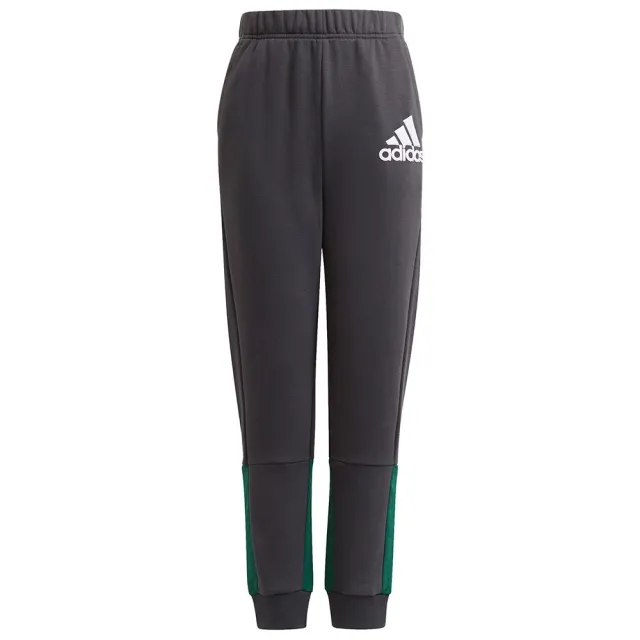 Adidas Bos Pants  - Grey
