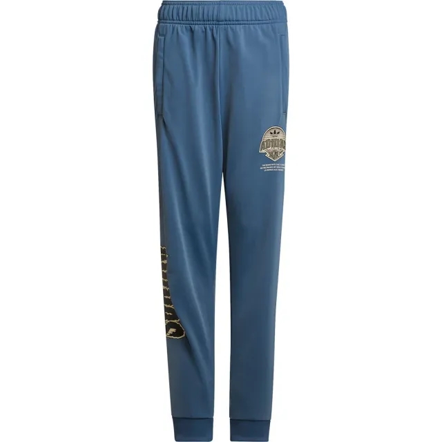 Adidas Originals Graphic Pants