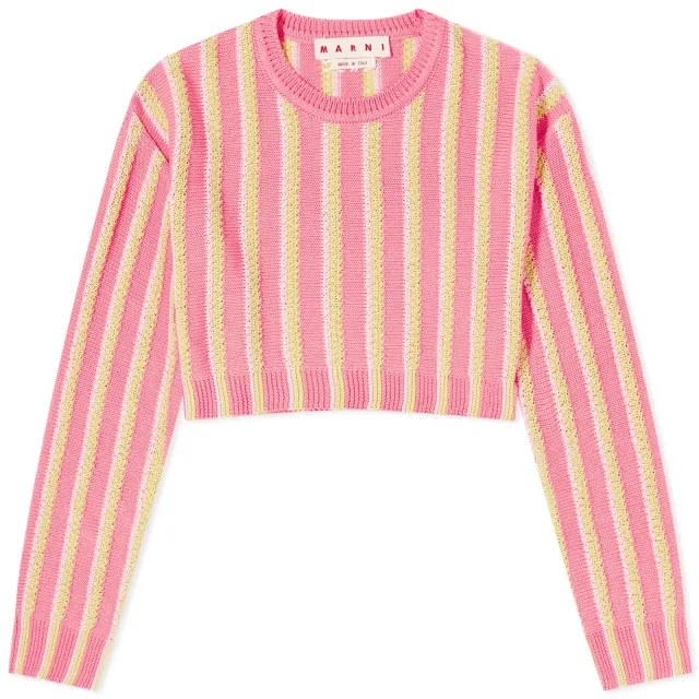 Marni Women's Casual Round Neck Sweat Pink Gummy