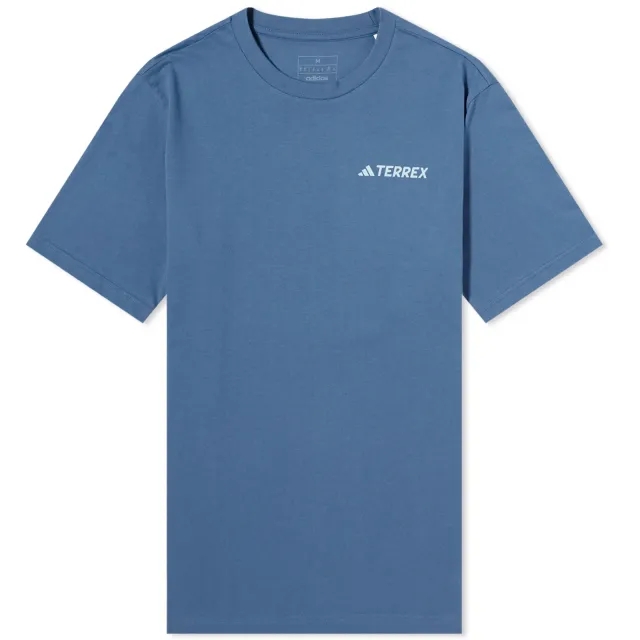adidas Terrex graphic MTN 2.0 t-shirt in blue