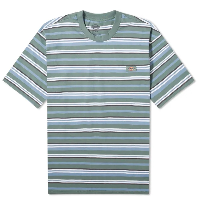 Dickies Glade Spring Short Sleeve T-shirt