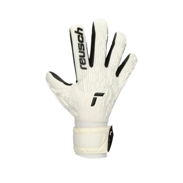 Reusch Attrakt Freegel Silver GK Gloves