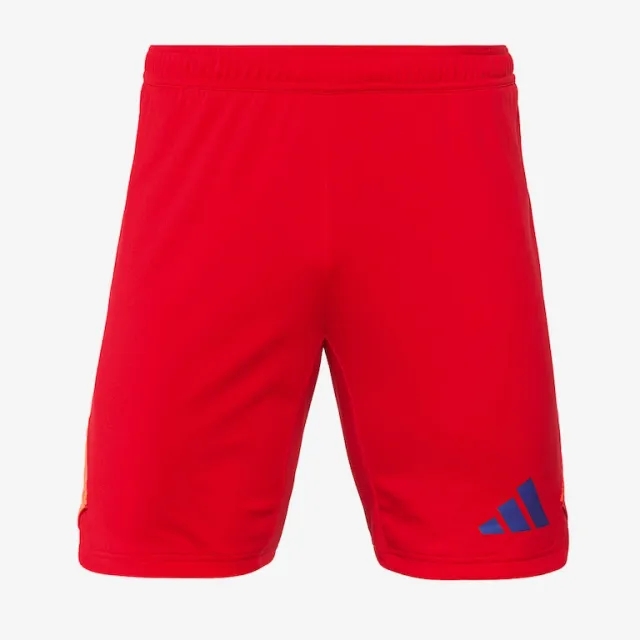 adidas Tiro 24 Pro GK Shorts