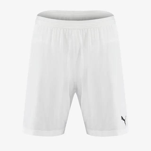 Puma FINAL evoKNIT Shorts