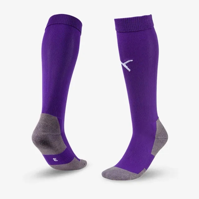 Puma teamLIGA Core Socks