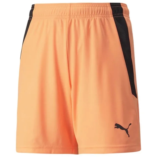 Puma Shorts Teamliga - ['Orange']