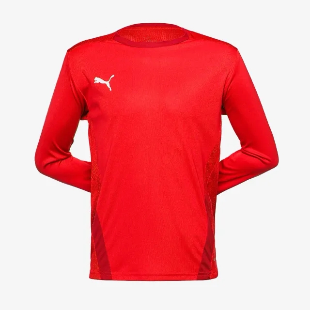 Puma Junior teamGOAL 23 LS Shirt