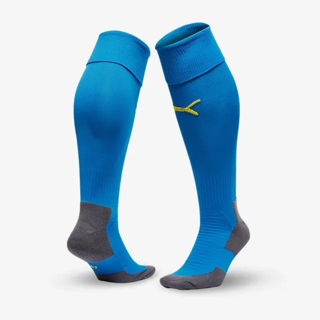 Puma teamLIGA Core Socks