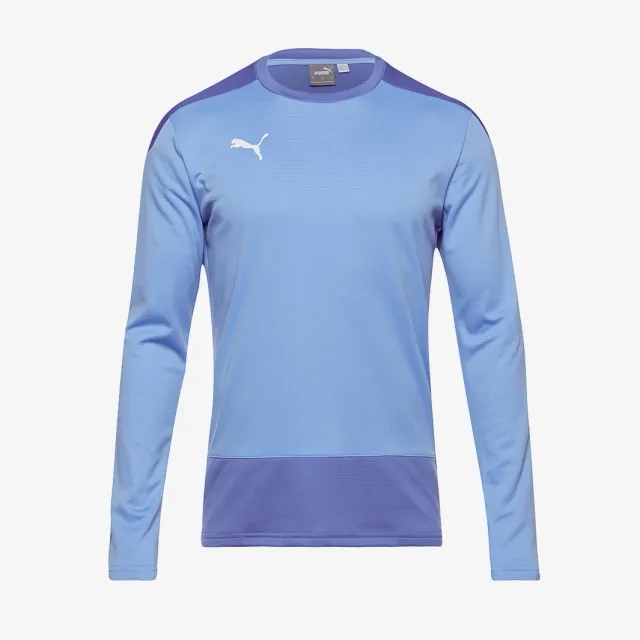 Puma Junior teamGOAL 23 Training Sweatshirt
