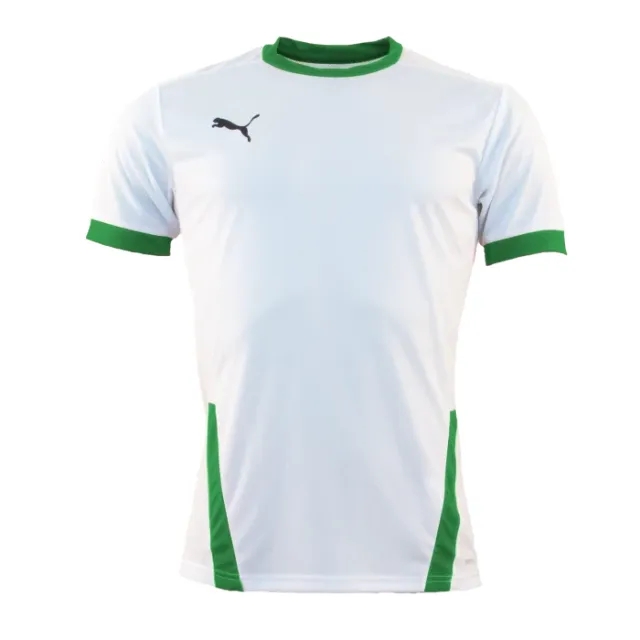 Puma teamGOAL 23 SS Shirt