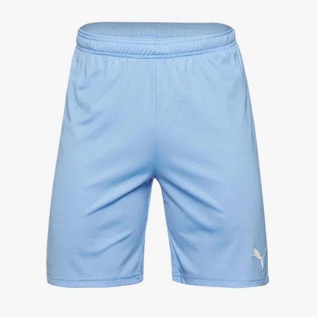 Puma teamGOAL 23 Shorts