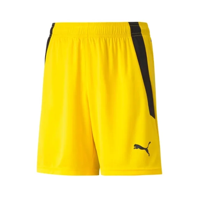 Puma Junior teamLIGA Shorts
