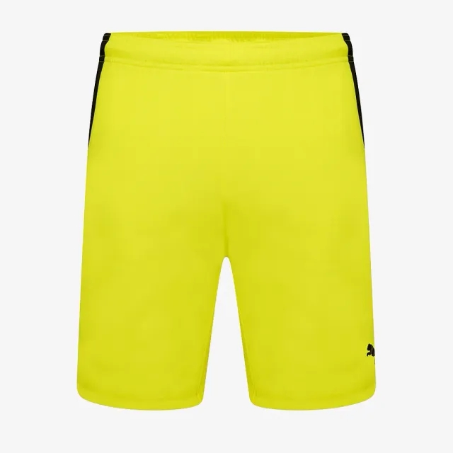 Puma Junior teamLIGA Shorts