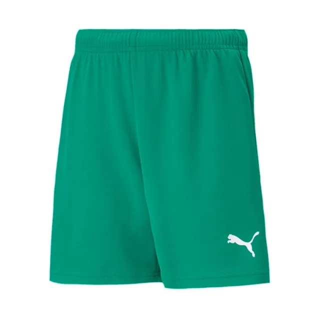 Puma Junior teamRISE Shorts