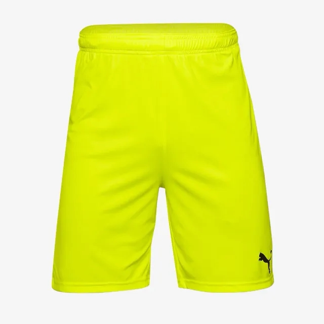 Puma Junior teamGOAL 23 Shorts