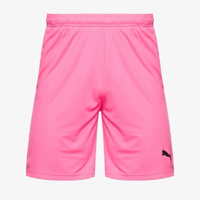 Puma Junior teamGOAL 23 Shorts