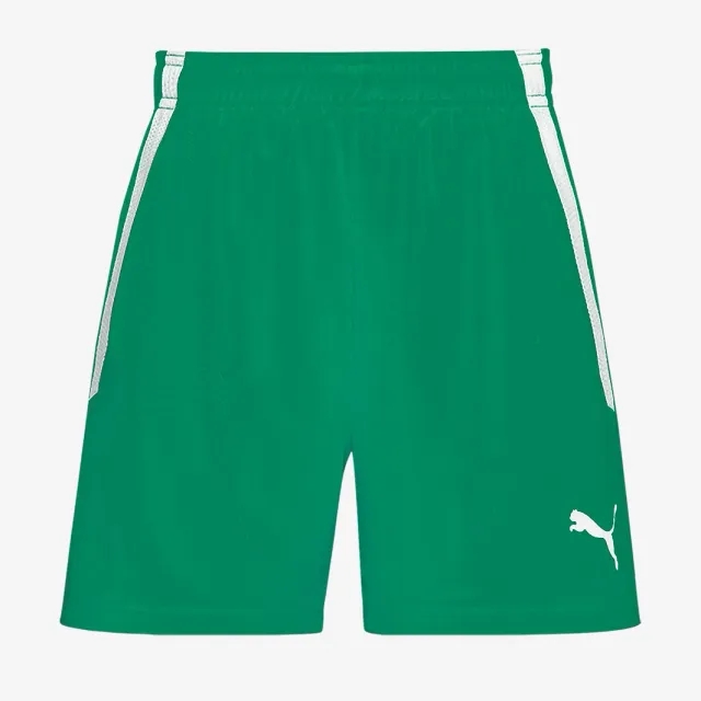 Puma Womens teamLIGA Shorts