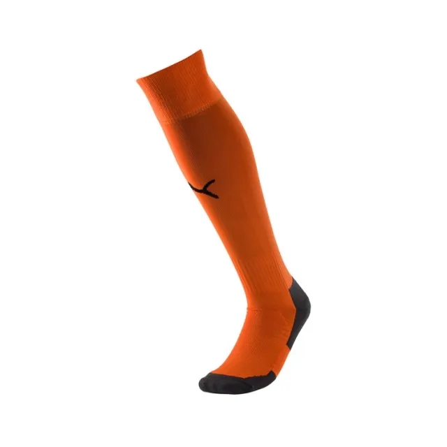 Puma teamLIGA Core Socks