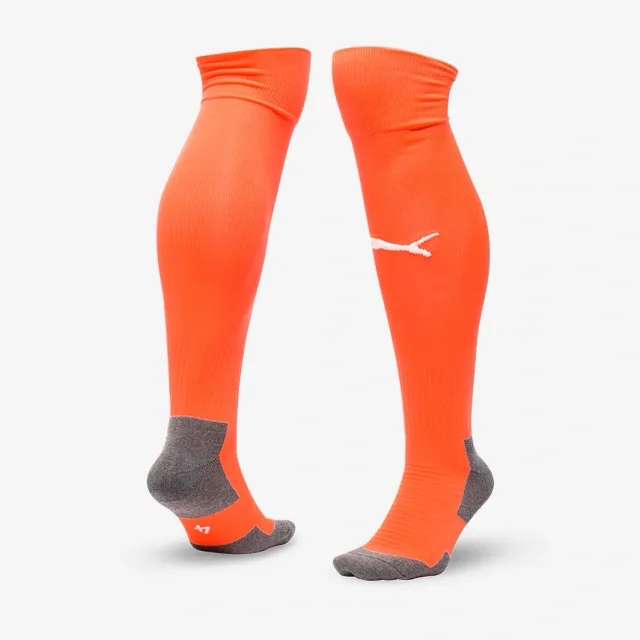 Puma teamLIGA Core Socks