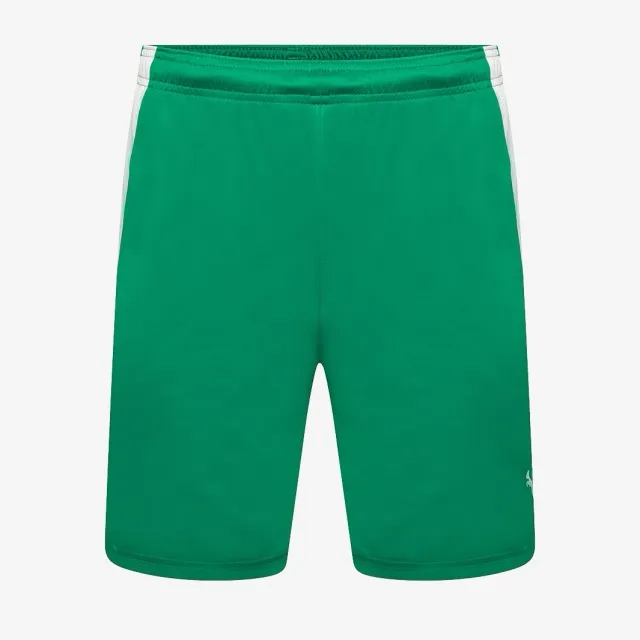 Puma teamLIGA Shorts