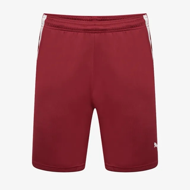 Puma Junior teamLIGA Shorts