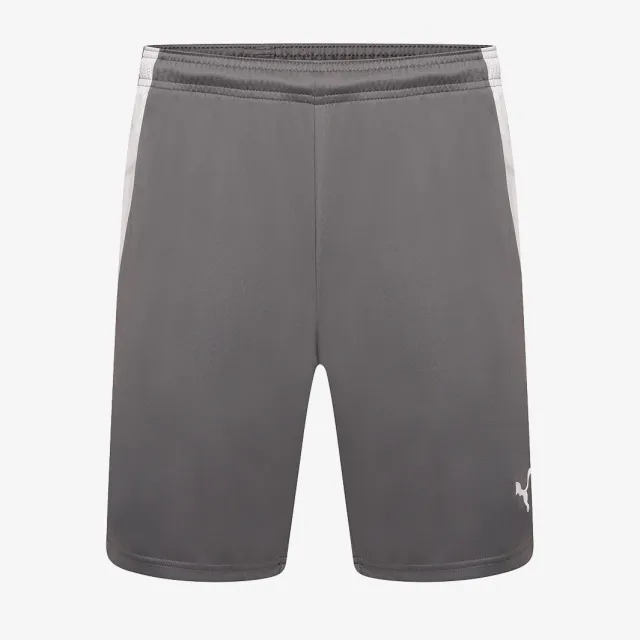 Puma teamLIGA Shorts