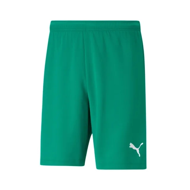 Puma teamRISE Shorts