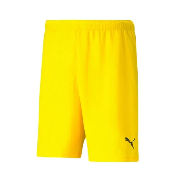 Puma teamRISE Shorts