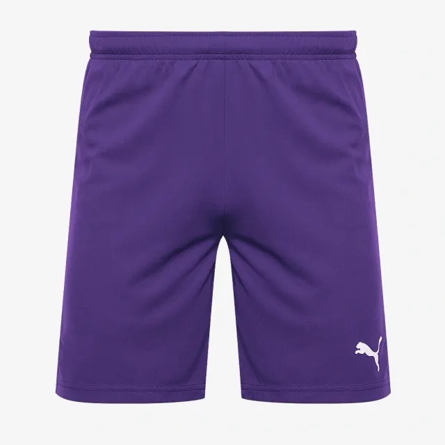 Puma Junior teamRISE Shorts