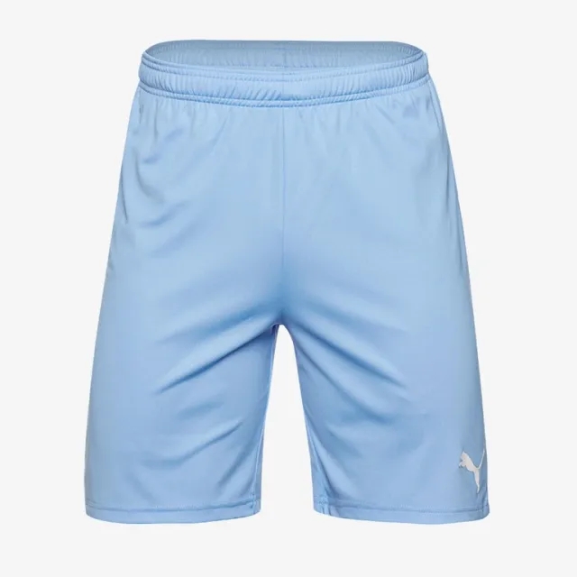 Puma Junior teamGOAL 23 Shorts