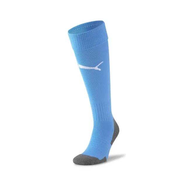 Puma teamLIGA Core Socks