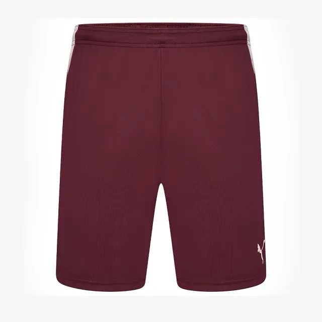 Puma Junior teamLIGA Shorts