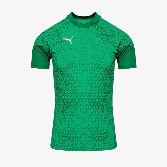 Puma teamCUP 23 Slim SS Training Shirt