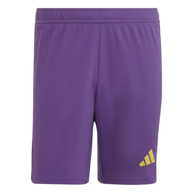 adidas Tiro 23 Pro GK Shorts