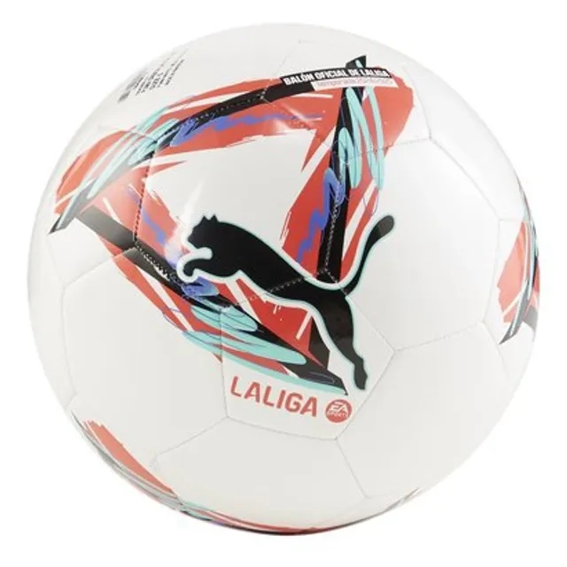 Puma Orbita LaLiga 1 24 25 MS Football