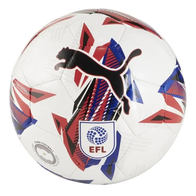 Puma Orbita 6 EFL 24 25 MS Mini Football