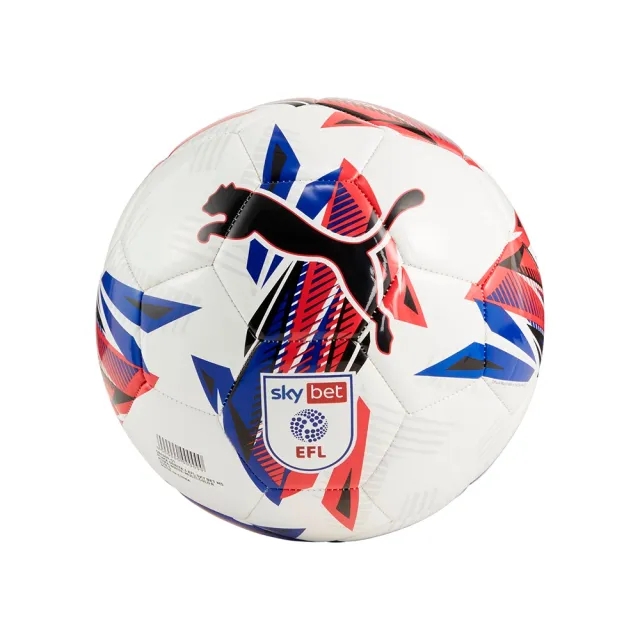 Puma Orbita 6 EFL Football 2024 2025 - White