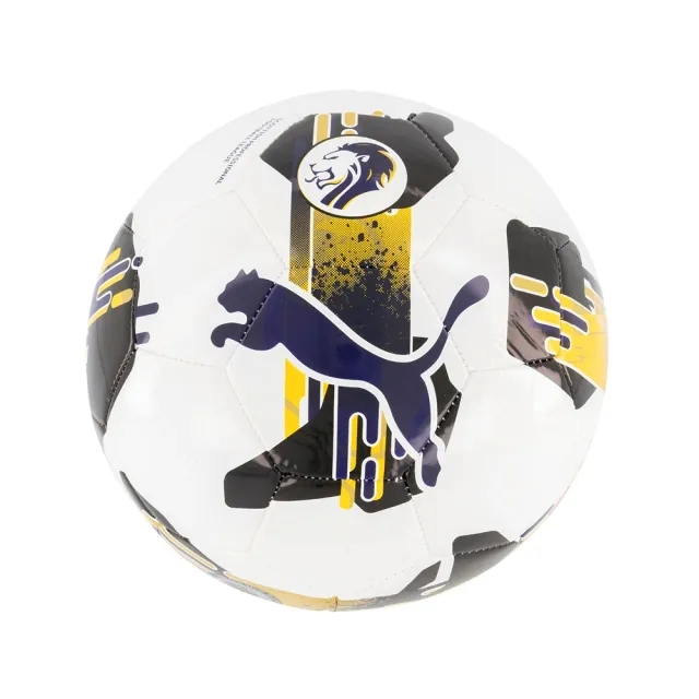 Puma Orbita 6 SPFL MS Football