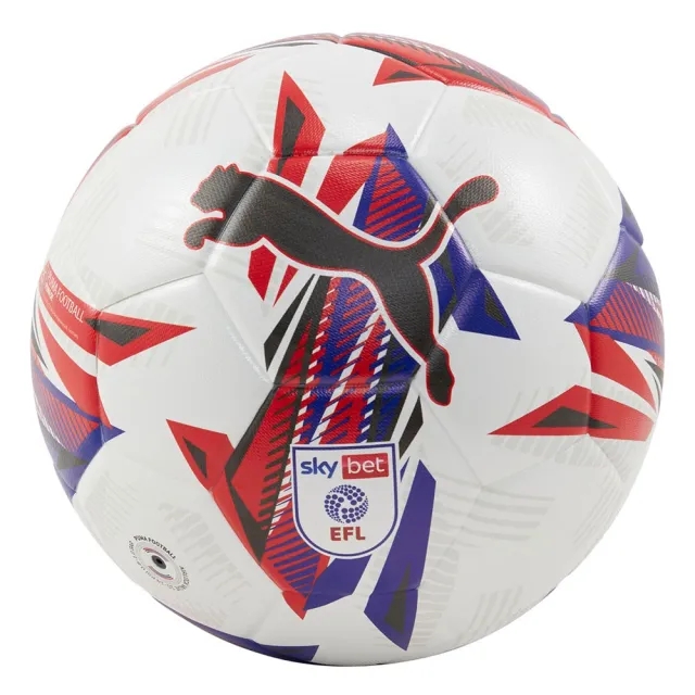 Puma Orbita 3 EFL Football 2024 2025 - White
