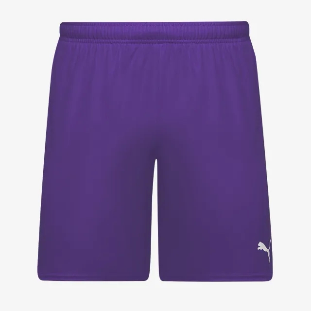 Puma teamGOAL 24 Shorts