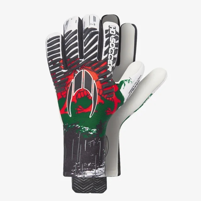 HO Soccer HO Kids Pro Evolution Squadra x Wales GK Gloves