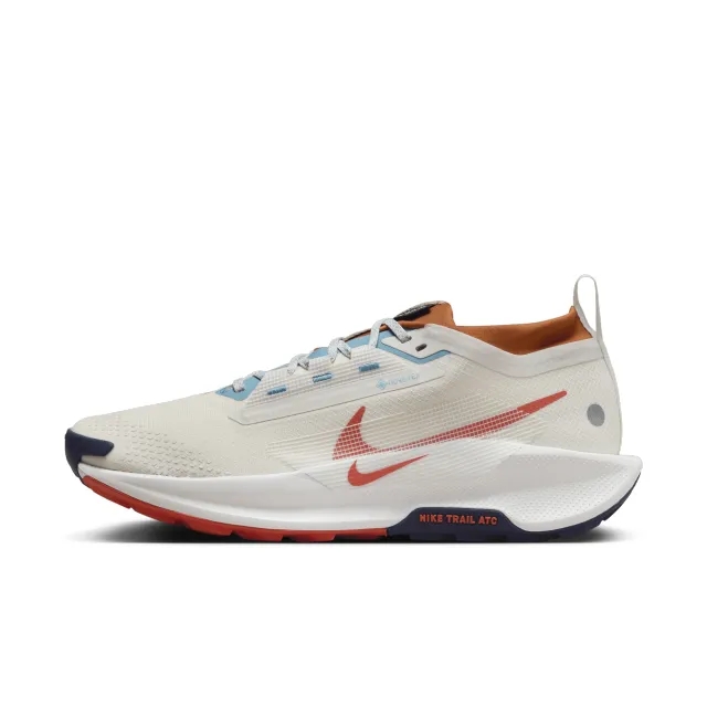 Nike Pegasus Trail 5 GORE TEX