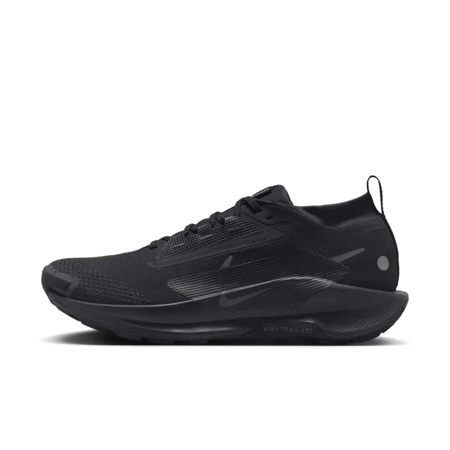 Nike Pegasus Trail 5 GORE-TEX, Black