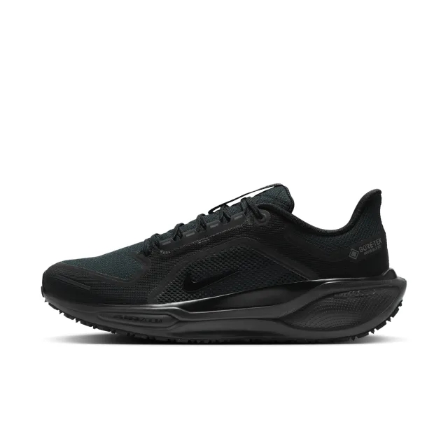 Nike Pegasus 41 GORE-TEX - Black, Black