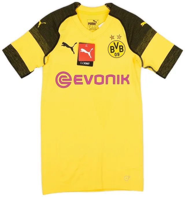 Puma 2018-19 Borussia Dortmund Player Issue (EvoKNIT) Home Shirt (S)